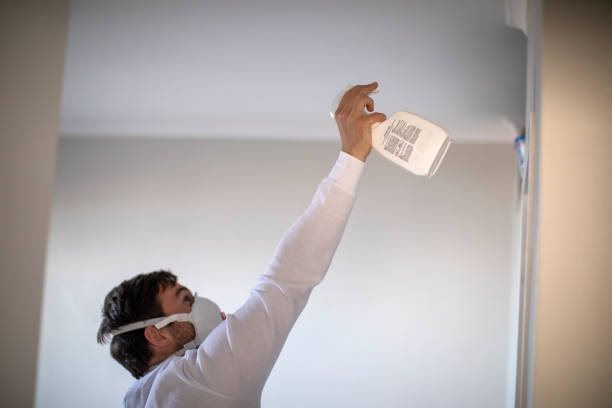 Best Residential Mold Remediation in Salem, VA