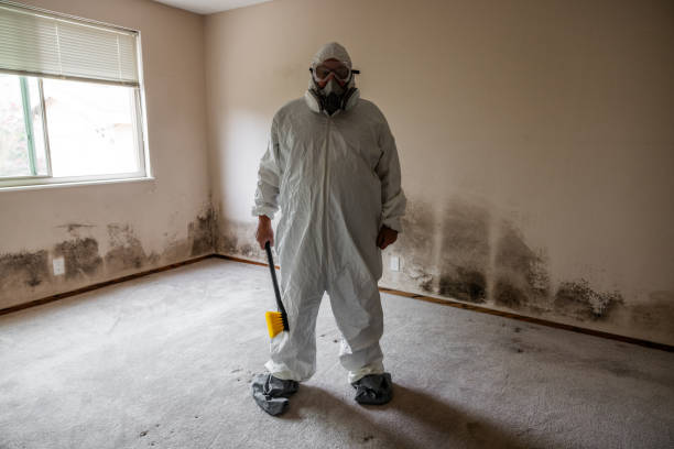 Best HVAC Mold Remediation in Salem, VA